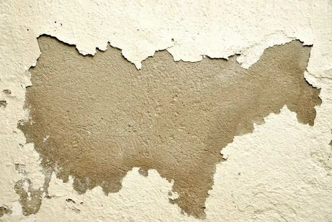 Wall where paint and texture have blistered and lifted after water reached the drywall